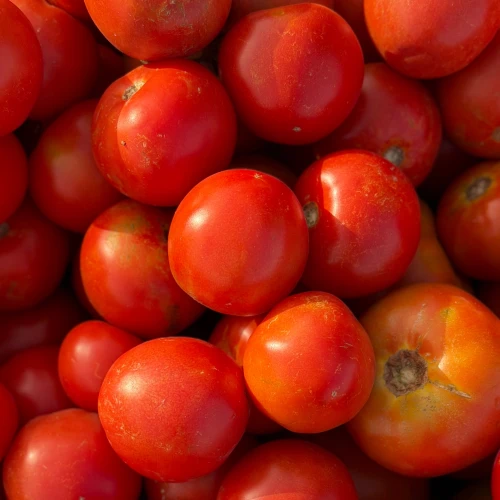 Tomate de pera