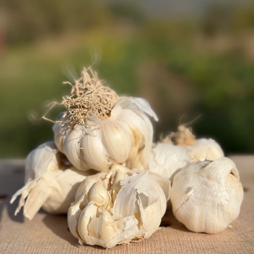 Ajo blanco