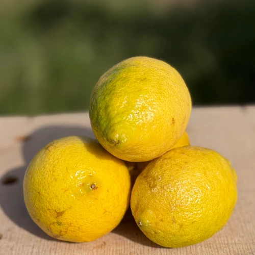 Limón