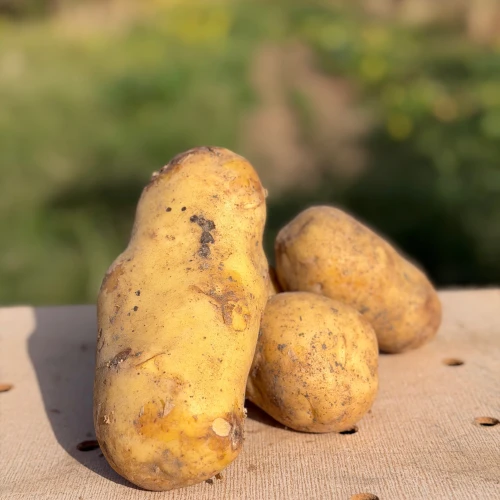 Patata Guiso