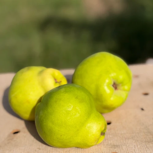 Manzana story