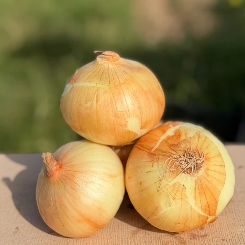 Cebolla dulce
