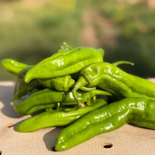 Pimiento verde italiano