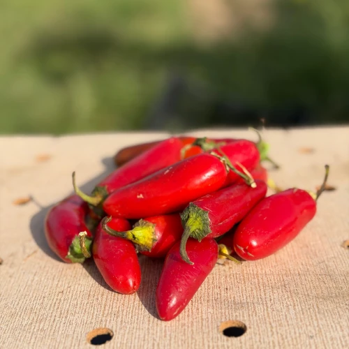 Pimiento Jalapeño